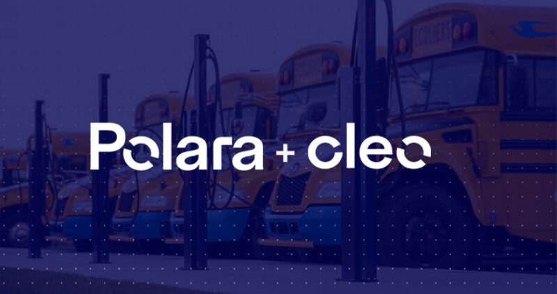Polara Cleo