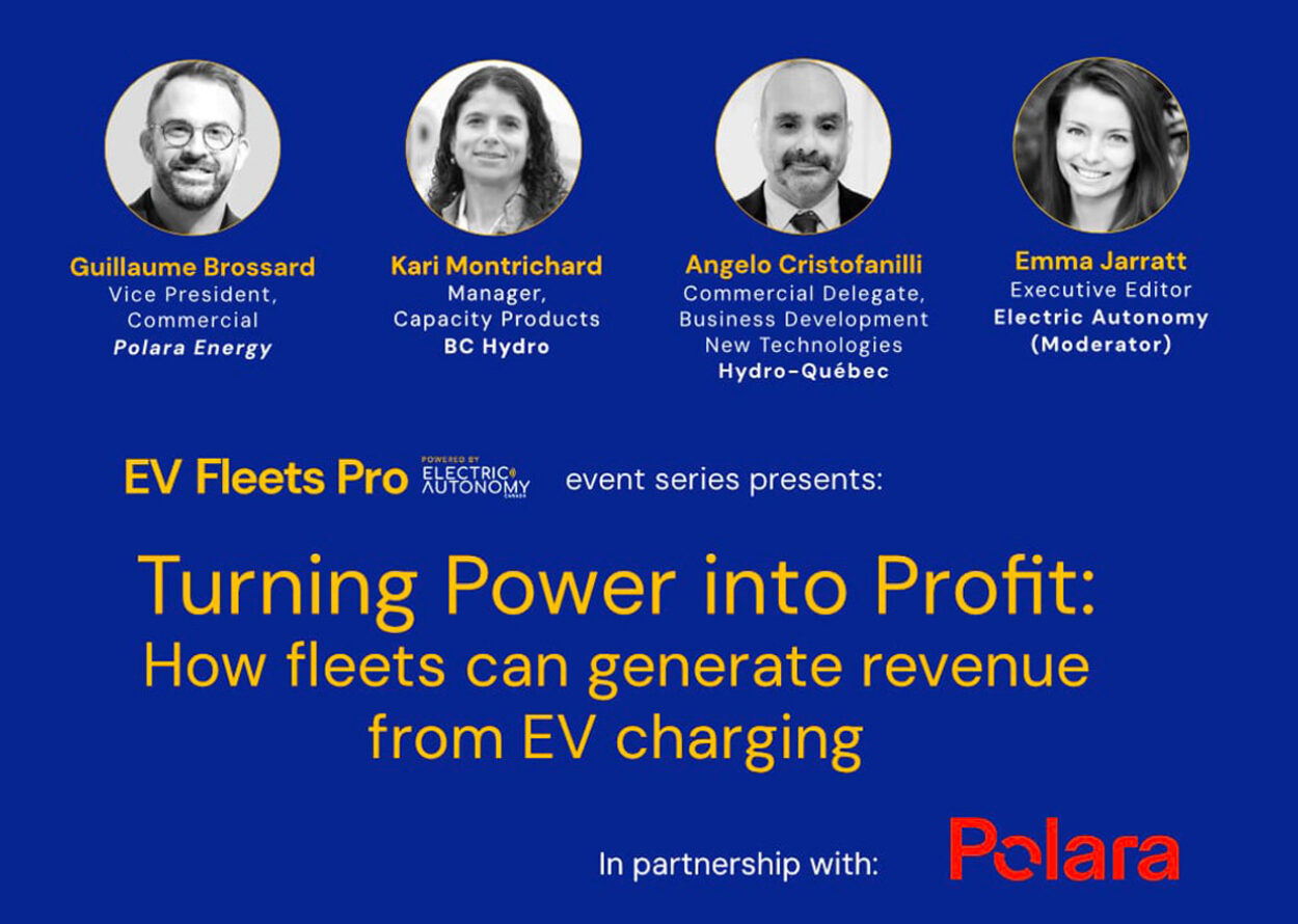Webinar Turning power into profit