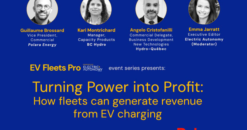 Webinar Turning power into profit